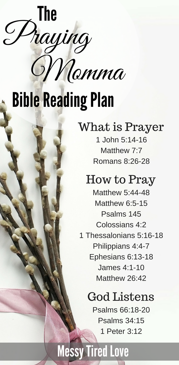 The Praying Momma Bible Reading Plan