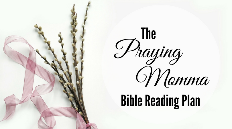 The Praying Momma Bible Reading Plan Feature