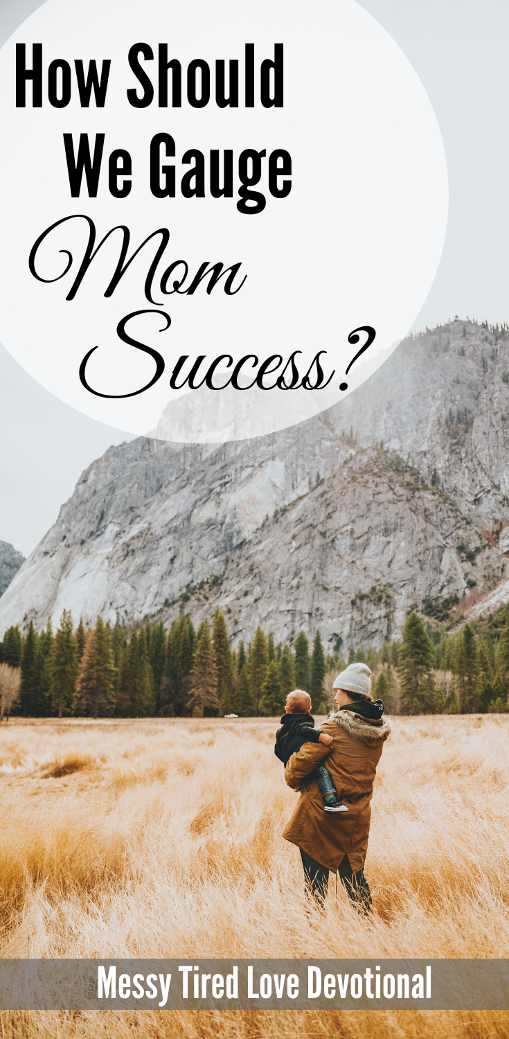 How Should We Gauge Mom Success